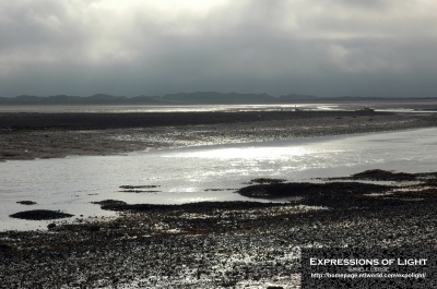 Ravenglass-Harbour-0049C.jpg