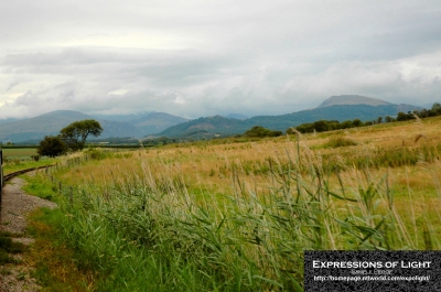 Ravenglass-_-Eskdale-Railway-Eskdale-0023C.jpg