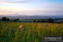 ExpoLight-Birkrigg-Common-_-The-Lakeland-Fells-0002C_28Sample_Proof-Photography29.jpg