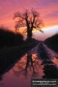 ExpoLight-Branston-Hall-Lane-Sunset-0060C_28Sample_Proof-Photography29.jpg