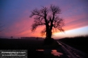 ExpoLight-Branston-Hall-Lane-Sunset-0073C_28Sample_Proof-Photography29.jpg