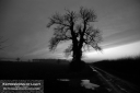 ExpoLight-Branston-Hall-Lane-Sunset-0075M_28Sample_Proof-Photography29.jpg