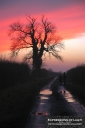 ExpoLight-Branston-Hall-Lane-Sunset-0092C_28Sample_Proof-Photography29.jpg