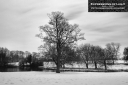 ExpoLight-Branston-Hall-Park-Moonlit-Night-Winter-0016M_28Sample_Proof-Photography29.jpg