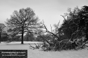 ExpoLight-Branston-Hall-Park-Moonlit-Night-Winter-0018M_28Sample_Proof-Photography29.jpg