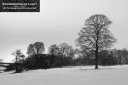 ExpoLight-Branston-Hall-Park-Moonlit-Night-Winter-0020M_28Sample_Proof-Photography29.jpg