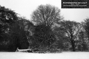 ExpoLight-Branston-Hall-Park-Moonlit-Night-Winter-0028M_28Sample_Proof-Photography29.jpg