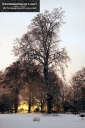 ExpoLight-Branston-Hall-Park-Moonlit-Night-Winter-0039C_28Sample_Proof-Photography29.jpg