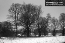 ExpoLight-Branston-Hall-Park-Moonlit-Night-Winter-0046M_28Sample_Proof-Photography29.jpg