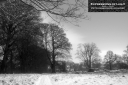 ExpoLight-Branston-Hall-Park-Moonlit-Night-Winter-0048M_28Sample_Proof-Photography29.jpg