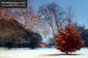 ExpoLight-Branston-Hall-Park-Moonlit-Night-Winter-0055C_28Sample_Proof-Photography29.jpg