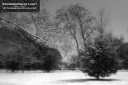 ExpoLight-Branston-Hall-Park-Moonlit-Night-Winter-0056M_28Sample_Proof-Photography29.jpg