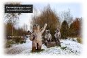 ExpoLight-Card-Lincoln-Birchwood-Nature-Park-The-3-Bears-Winter-0001C_28Sample_Proof-Photography29.jpg