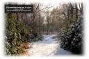 ExpoLight-Card-Lincoln-Birchwood-Nature-Park-Winter-0041C_28Sample_Proof-Photography29.jpg