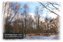 ExpoLight-Card-Lincoln-Birchwood-Nature-Park-Winter-0043C_28Sample_Proof-Photography29.jpg