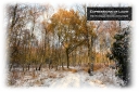 ExpoLight-Card-Lincoln-Birchwood-Nature-Park-Winter-0061C_28Sample_Proof-Photography29.jpg