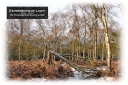 ExpoLight-Card-Lincoln-Birchwood-Nature-Park-Winter-0089C_28Sample_Proof-Photography29.jpg