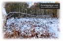 ExpoLight-Card-Lincoln-Birchwood-Nature-Park-Winter-0109C_28Sample_Proof-Photography29.jpg