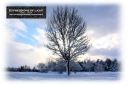 ExpoLight-Card-Lincoln-Birchwood-The-Green-Winter-0015C_28Sample_Proof-Photography29.jpg