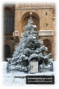 ExpoLight-Card-Lincoln-Cathedral-Christmas-Tree-Of-Life-Winter-2010-0005C_28SP-Photography29.jpg