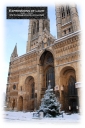 ExpoLight-Card-Lincoln-Cathedral-Christmas-Tree-Of-Life-Winter-2010-0009C_28SP-Photography29.jpg