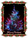 ExpoLight-Christmas-Card-Branston-Christmas-Tree-0004C_28Photo_Artwork29.jpg