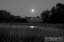 ExpoLight-Far-Ings-Nature-Reserve-Moonrise-0014M_28Sample_Proofs-Photography29.jpg