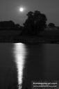 ExpoLight-Far-Ings-Nature-Reserve-Moonrise-0017M_28Sample_Proofs-Photography29.jpg