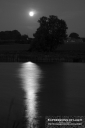 ExpoLight-Far-Ings-Nature-Reserve-Moonrise-0019M_28Sample_Proofs-Photography29.jpg