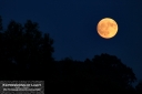 ExpoLight-Far-Ings-Nature-Reserve-Moonrise-0024C_28Sample_Proofs-Photography29.jpg