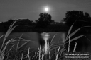 ExpoLight-Far-Ings-Nature-Reserve-Moonrise-0031M_28Sample_Proofs-Photography29.jpg