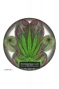 ExpoLight-Graphic-Arts-Cannabis-0002C_28Sample_Proof-Artwork29.jpg