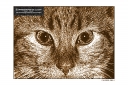 ExpoLight-Graphic-Arts-Cat-0001S_28Sample_Proof-Photo-Artwork29.jpg