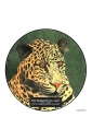 ExpoLight-Graphic-Arts-Leopard-0001C_28Sample_Proof-Artwork29.jpg