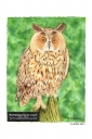 ExpoLight-Graphic-Arts-Owl-0005C_28Sample_Proof-Artwork29.jpg