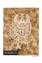 ExpoLight-Graphic-Arts-Owl-0005S_28Sample_Proof-Artwork29.jpg