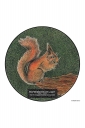 ExpoLight-Graphic-Arts-Squirrel-0001C_28Sample_Proof-Artwork29.jpg