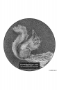 ExpoLight-Graphic-Arts-Squirrel-0001M_28Sample_Proof-Artwork29.jpg