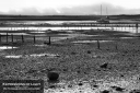 Ravenglass-Harbour-0040M.jpg