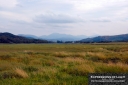 Waberthwaite-Newbiggin-Eskdale-_-Scafell-Pike-0003C.jpg